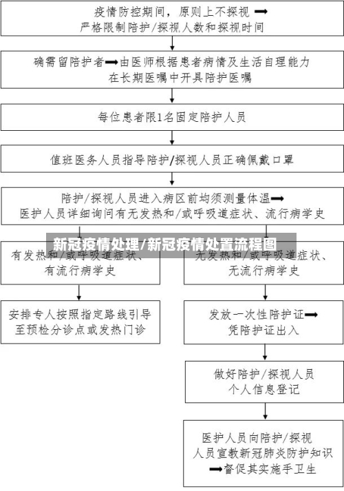 新冠疫情处理/新冠疫情处置流程图