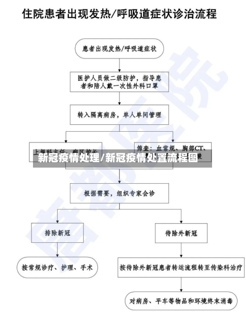 新冠疫情处理/新冠疫情处置流程图-第2张图片