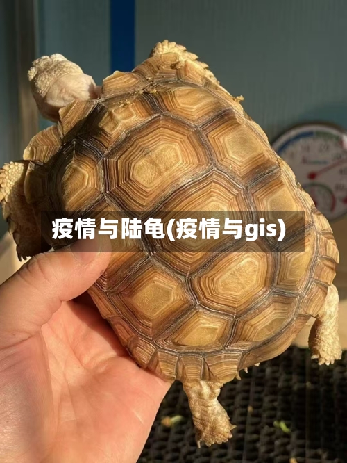 疫情与陆龟(疫情与gis)