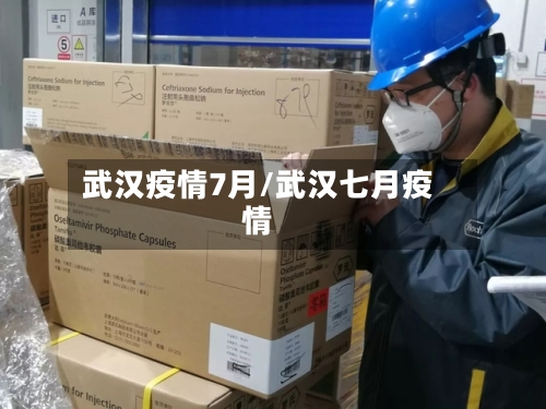 武汉疫情7月/武汉七月疫情-第2张图片
