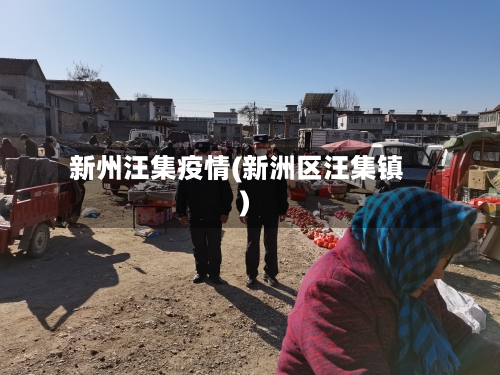 新州汪集疫情(新洲区汪集镇)