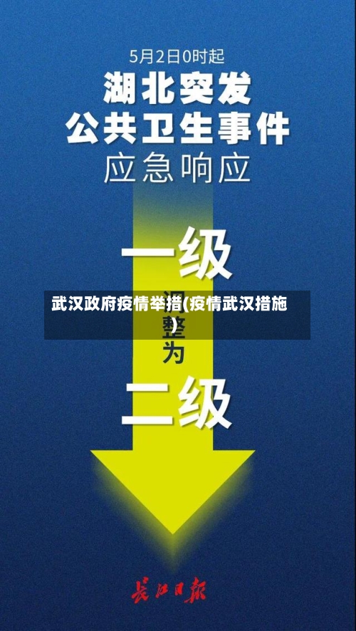 武汉政府疫情举措(疫情武汉措施)