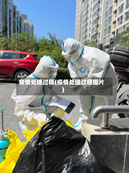 疫情处理过程(疫情处理过程图片)-第2张图片
