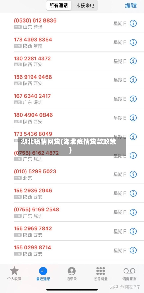 湖北疫情网贷(湖北疫情贷款政策)