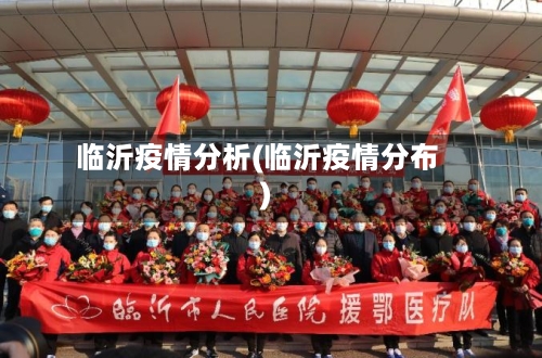 临沂疫情分析(临沂疫情分布)-第3张图片