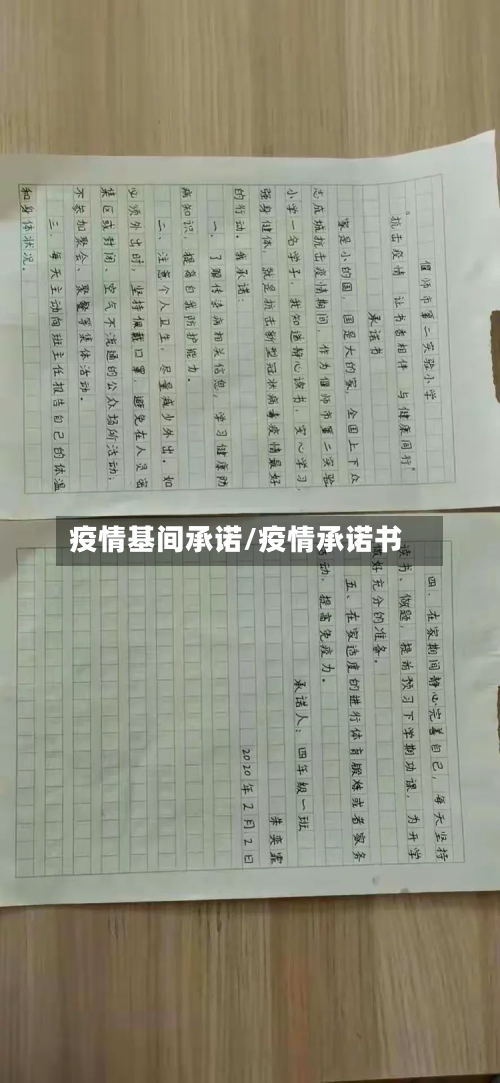 疫情基间承诺/疫情承诺书