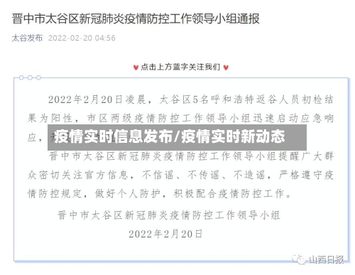 疫情实时信息发布/疫情实时新动态