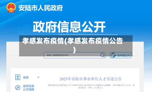 孝感发布疫情(孝感发布疫情公告)