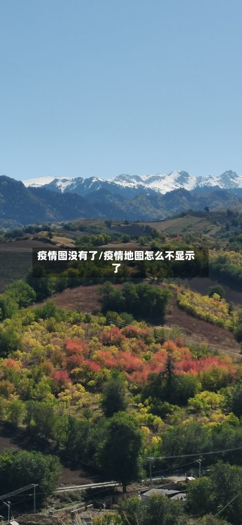 疫情图没有了/疫情地图怎么不显示了