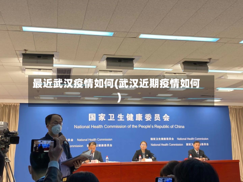 最近武汉疫情如何(武汉近期疫情如何)-第2张图片