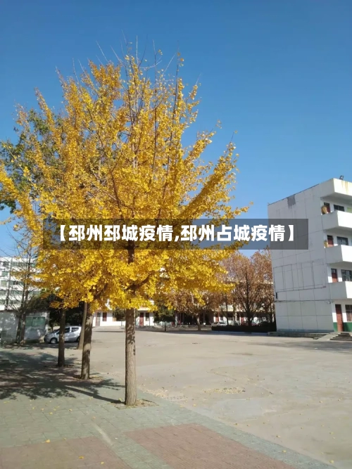 【邳州邳城疫情,邳州占城疫情】