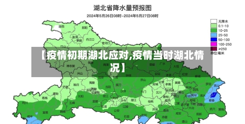 【疫情初期湖北应对,疫情当时湖北情况】
