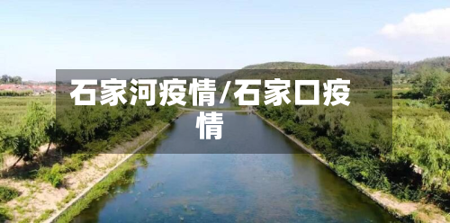石家河疫情/石家口疫情-第3张图片