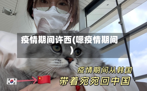 疫情期间许西(嗯疫情期间)-第3张图片