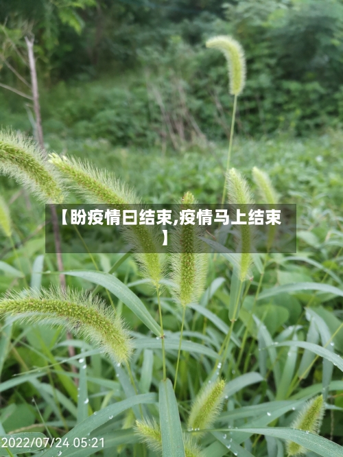 【盼疫情曰结束,疫情马上结束】