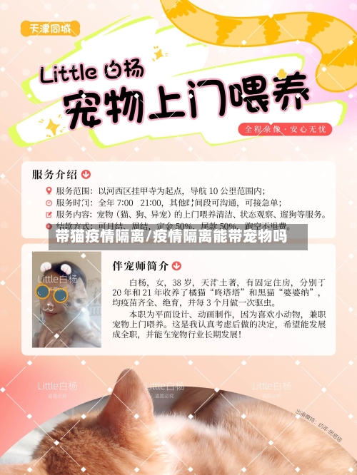 带猫疫情隔离/疫情隔离能带宠物吗