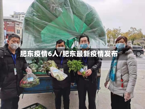 肥东疫情6人/肥东最新疫情发布