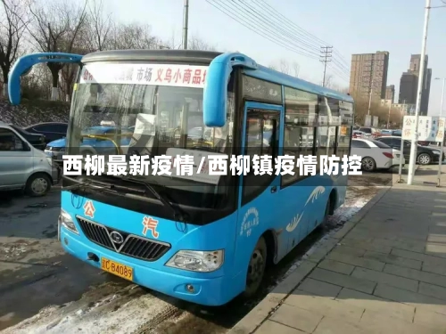 西柳最新疫情/西柳镇疫情防控-第2张图片