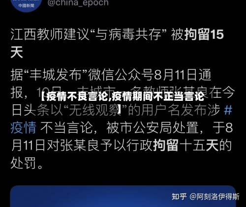 【疫情不良言论,疫情期间不正当言论】-第3张图片