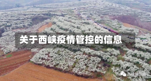 关于西峡疫情管控的信息