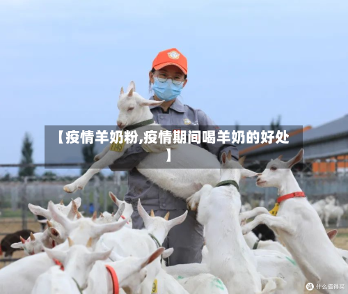 【疫情羊奶粉,疫情期间喝羊奶的好处】