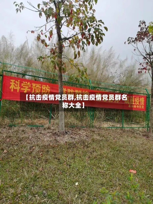 【抗击疫情党员群,抗击疫情党员群名称大全】-第2张图片