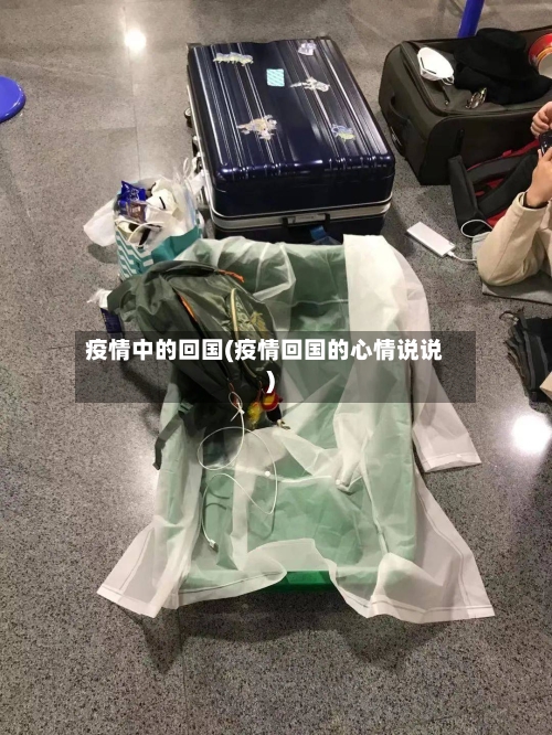 疫情中的回国(疫情回国的心情说说)-第2张图片