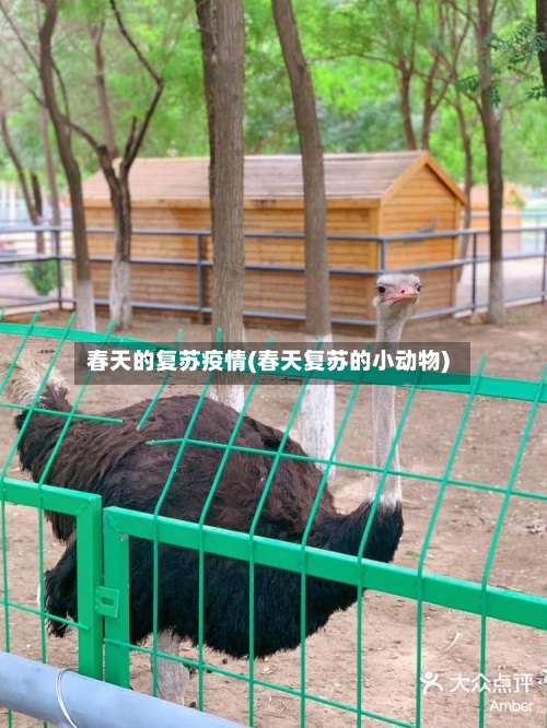 春天的复苏疫情(春天复苏的小动物)