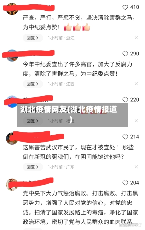 湖北疫情网友(湖北疫情报道)-第2张图片