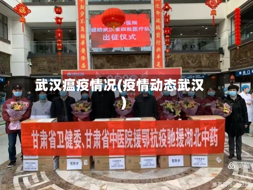 武汉瘟疫情况(疫情动态武汉)-第2张图片