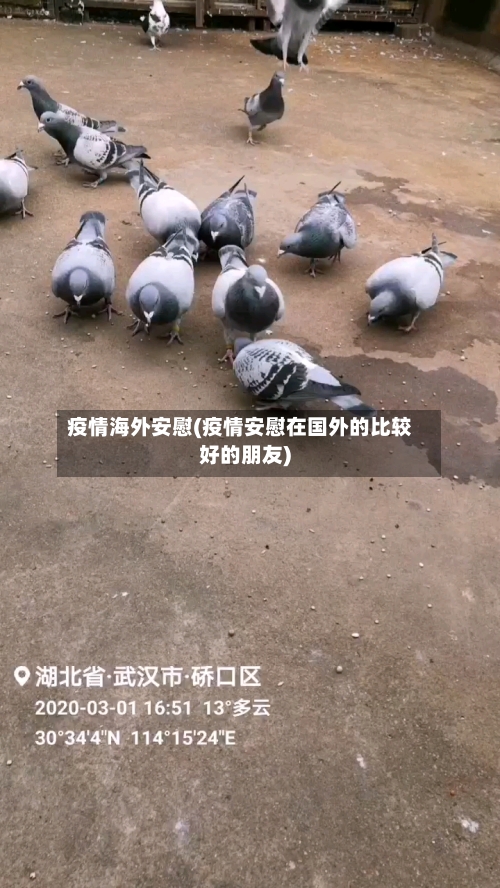 疫情海外安慰(疫情安慰在国外的比较好的朋友)-第2张图片