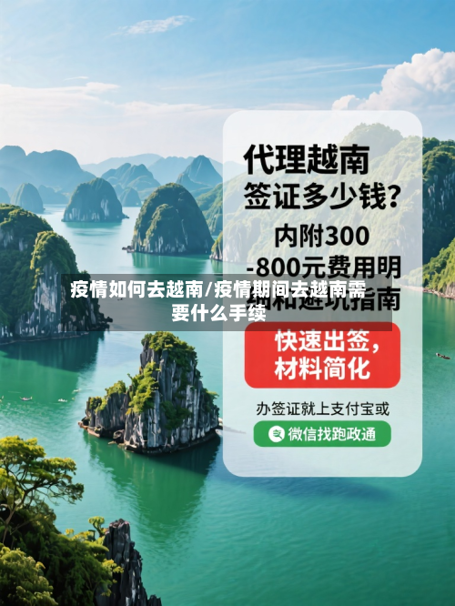 疫情如何去越南/疫情期间去越南需要什么手续-第3张图片