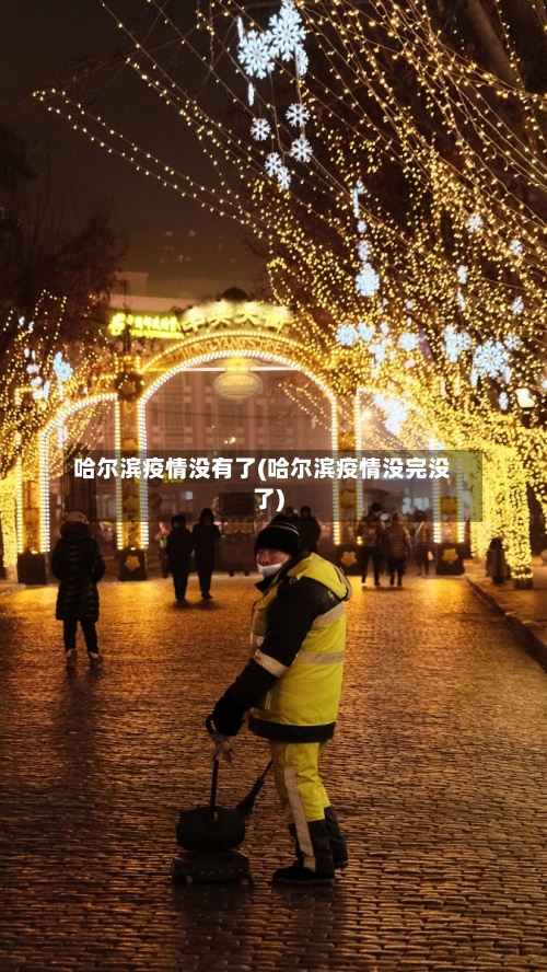 哈尔滨疫情没有了(哈尔滨疫情没完没了)-第3张图片