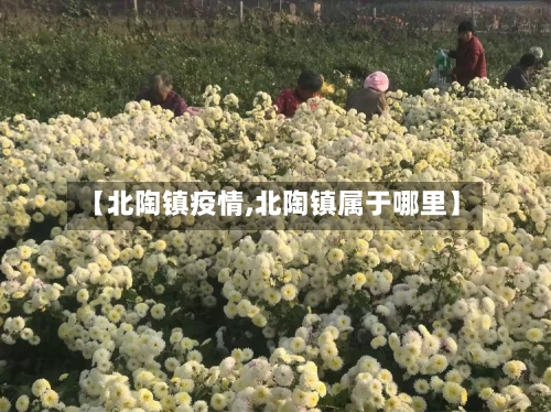 【北陶镇疫情,北陶镇属于哪里】