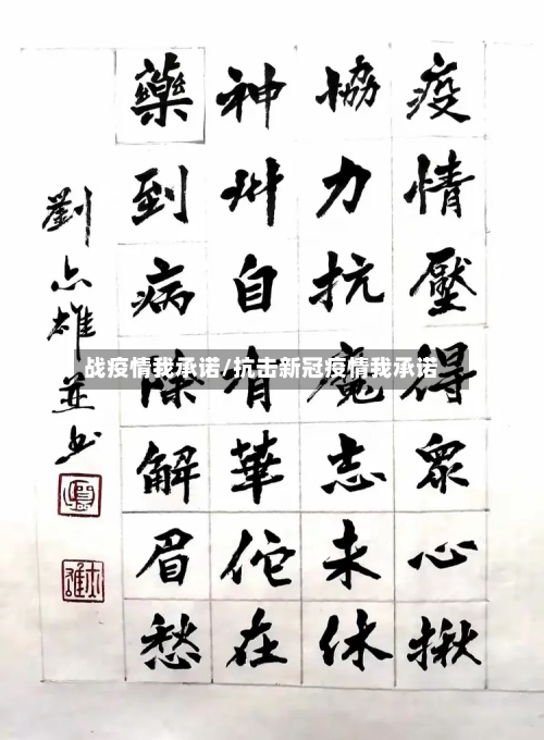 战疫情我承诺/抗击新冠疫情我承诺