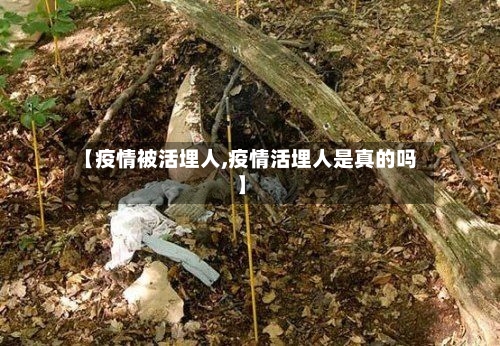 【疫情被活埋人,疫情活埋人是真的吗】-第3张图片