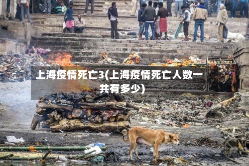 上海疫情死亡3(上海疫情死亡人数一共有多少)