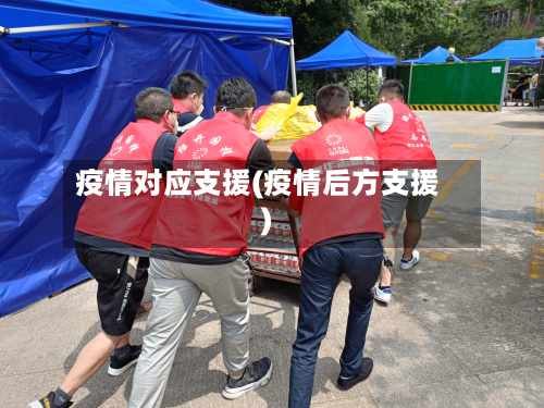 疫情对应支援(疫情后方支援)
