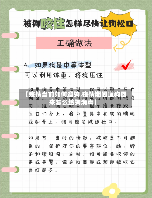 【疫情当前如何遛狗,疫情期间遛狗回来怎么给狗消毒】-第2张图片