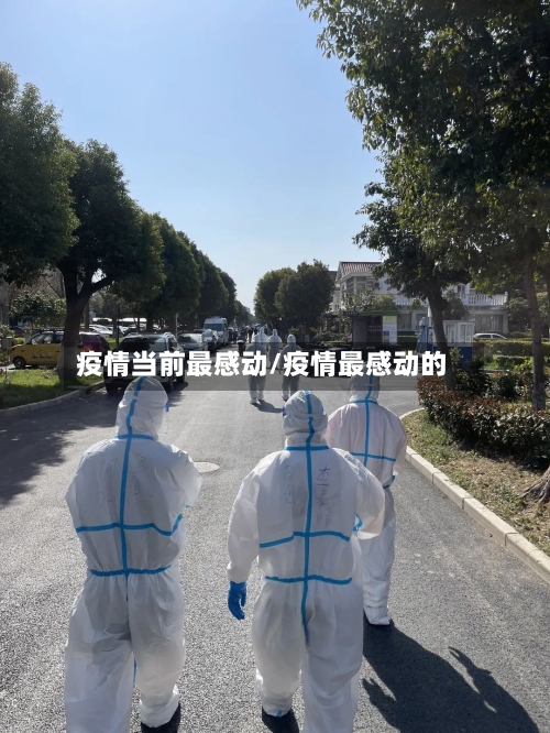 疫情当前最感动/疫情最感动的