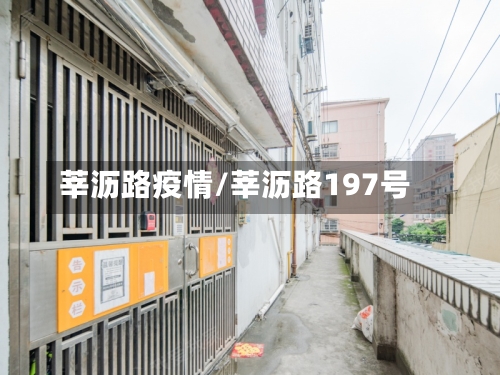 莘沥路疫情/莘沥路197号