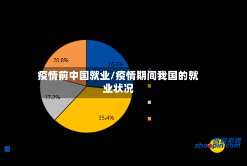 疫情前中国就业/疫情期间我国的就业状况