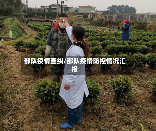 部队疫情查纠/部队疫情防控情况汇报
