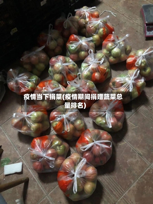 疫情当下捐菜(疫情期间捐赠蔬菜总量排名)-第3张图片