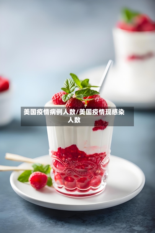 美国疫情病例人数/美国疫情现感染人数-第2张图片