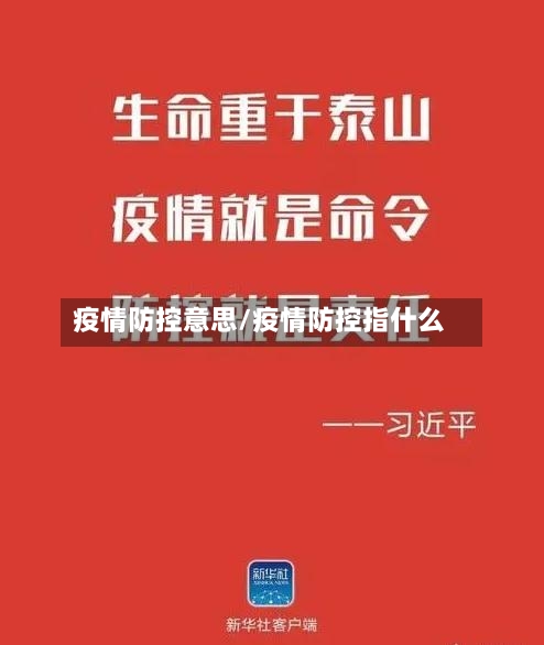 疫情防控意思/疫情防控指什么