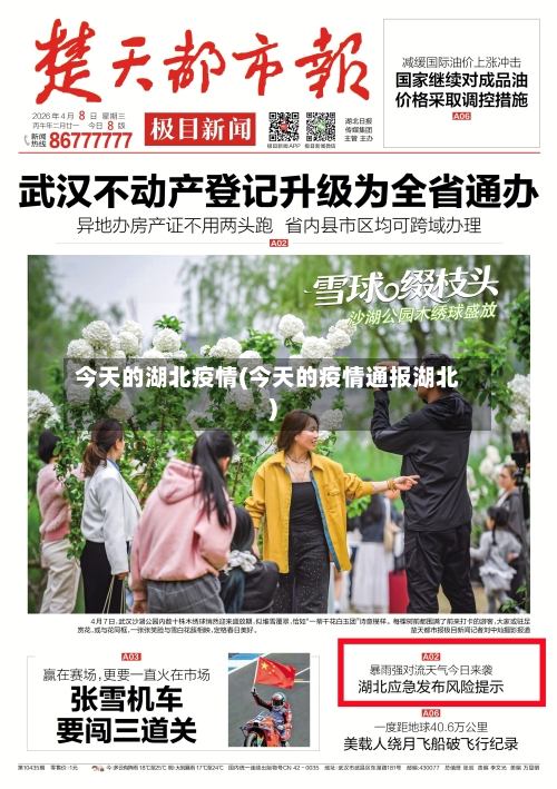 今天的湖北疫情(今天的疫情通报湖北)-第2张图片