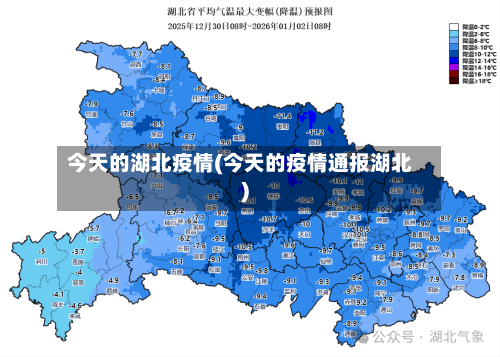 今天的湖北疫情(今天的疫情通报湖北)