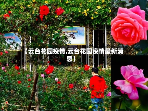 【云台花园疫情,云台花园疫情最新消息】-第2张图片