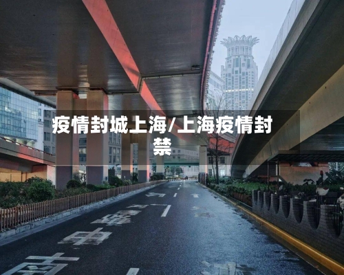 疫情封城上海/上海疫情封禁-第2张图片